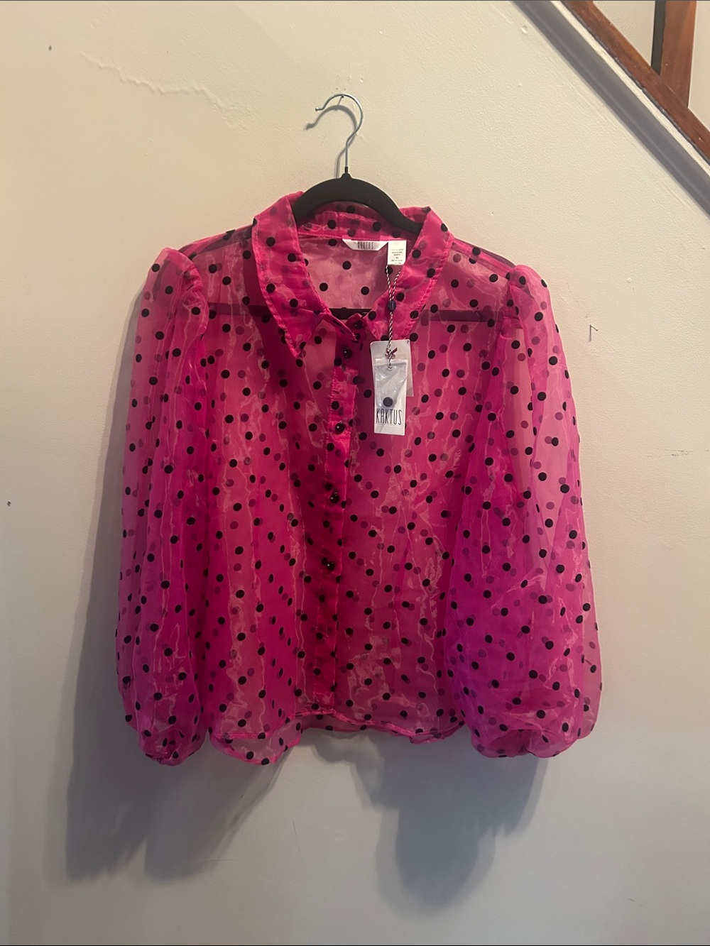 Kaktus Pink Sheer Polka Dot Button-Down Blouse